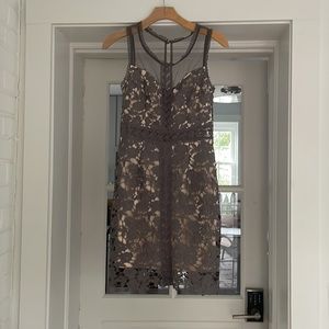 Soíeblu Lace Cocktail Dress